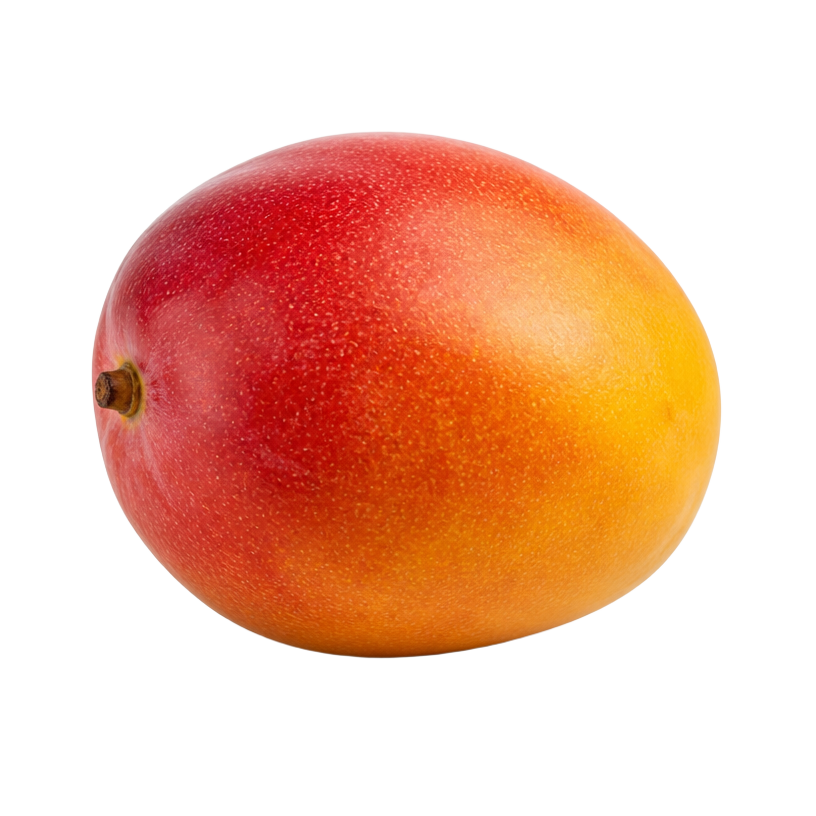Mango de exportación