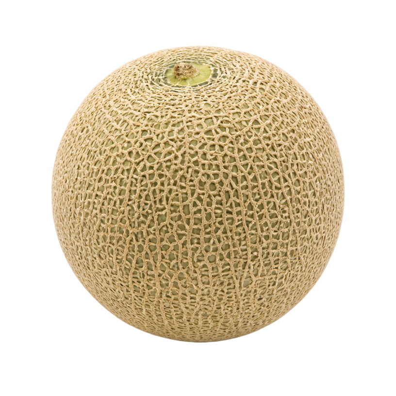 Melón de exportación