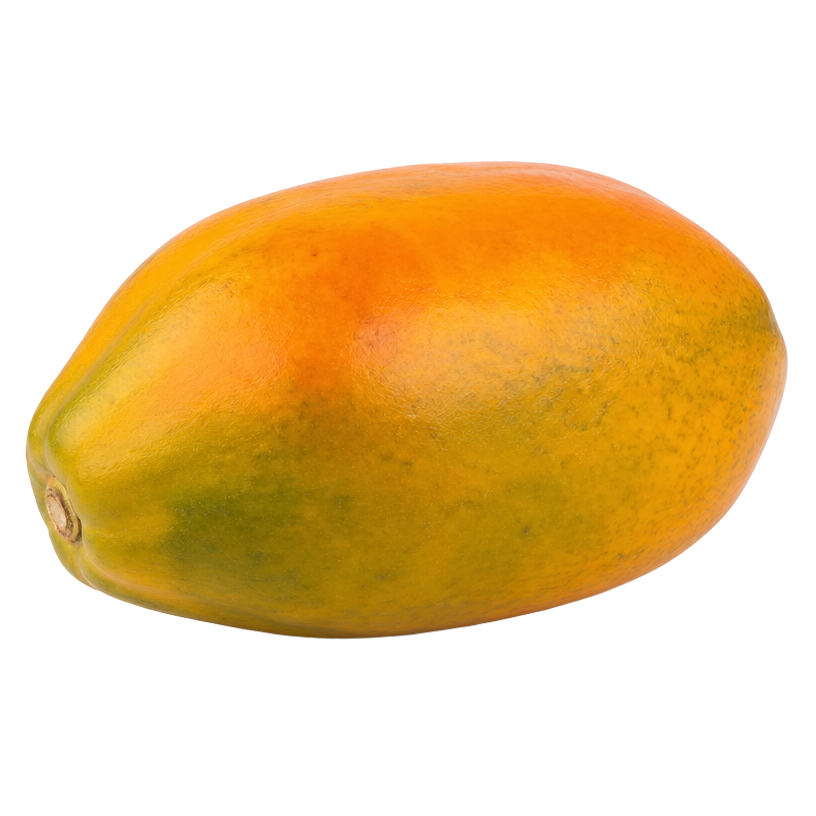 Papaya de exportación